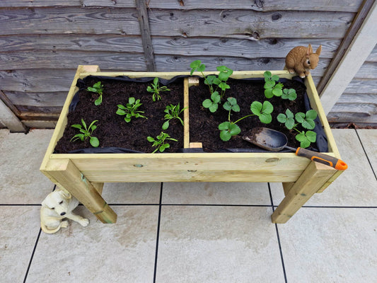 Raised Veg Trug / Planter - L150Cm X H60Cm X W52Cm
