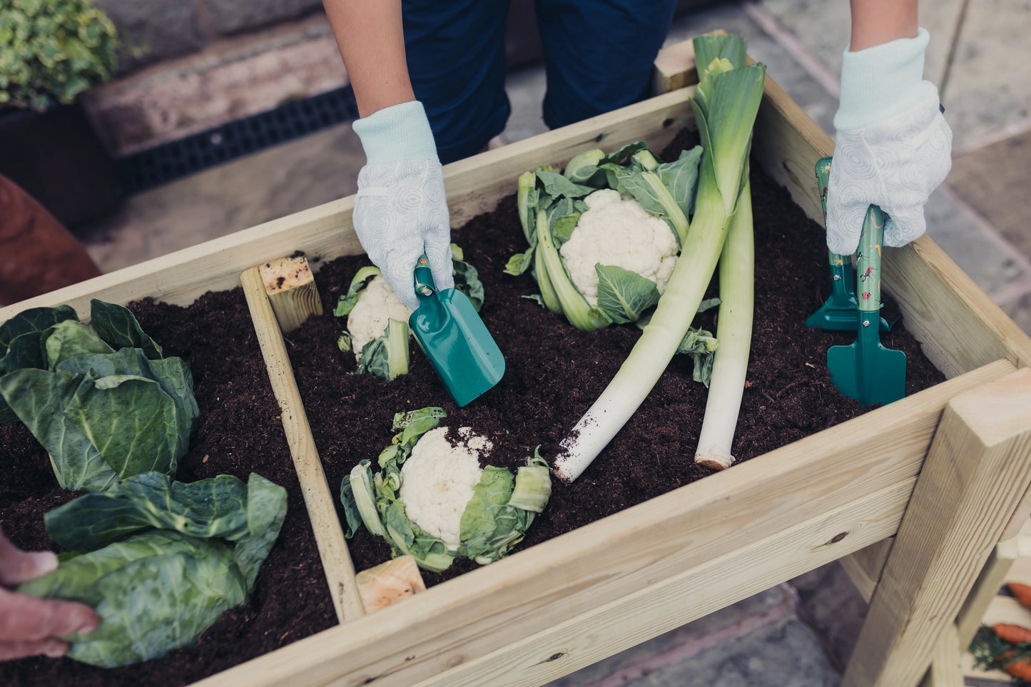 Raised Veg Trug / Planter - L100Cm X H60Cm X W52Cm